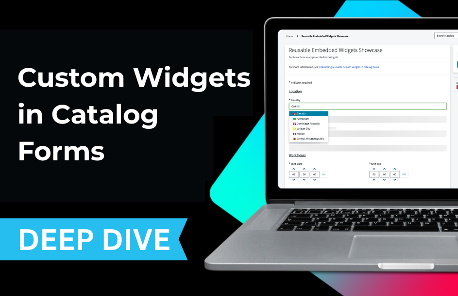 Embedding reusable custom widgets in catalog items